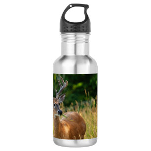 Garrafa Deer Buck