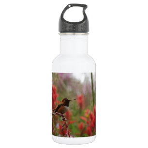 Garrafa Descansar Hummingbird
