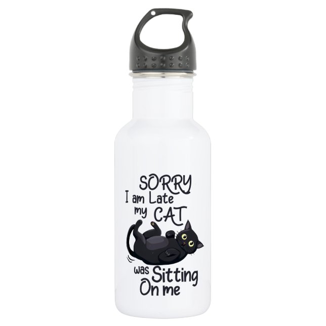 Garrafa Desculpe o atraso - Regras de Gato! (Frente)