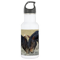 Dois Cavalos Selvagens Marrons Nuzzling