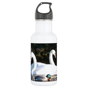 Garrafa Dois Cisnes E Um Pato