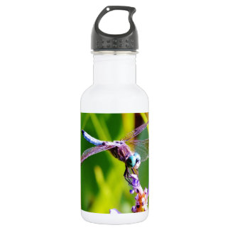 Garrafa Dragonfly Teal & Purple