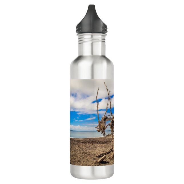 Garrafa Driftwood trabalho de arte em Hokitika Beach, Nova (Esquerda)