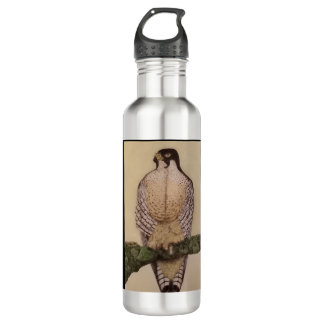 Garrafa Duckhawk Water Bottle