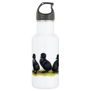 Garrafa Ducklings Black Cayuga