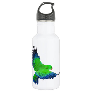 Garrafa Eclectus masculino