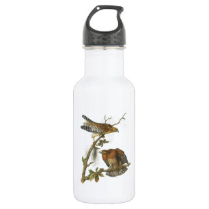 Garrafa Falcão de ombros vermelhos de Audubon