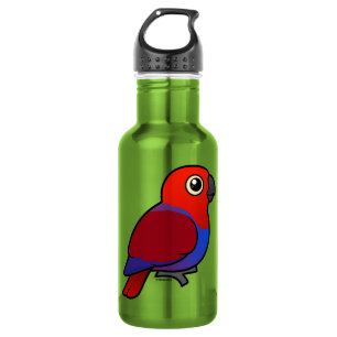 Garrafa Fêmea do papagaio de Eclectus