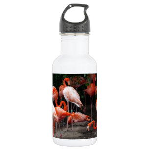 Garrafa Flamingos tropicais do destino dos pássaros da