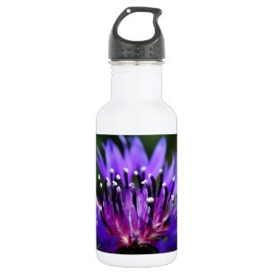Garrafa Flor Azul Cornflower Flores Flores Flores Flores B