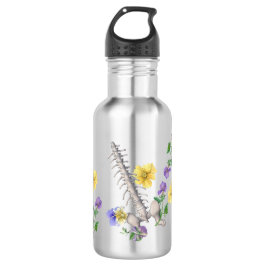 Garrafa Floral Anatomy - Vertebrae, Hip Bone