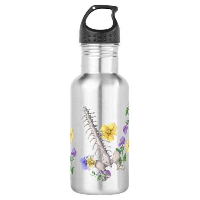 Garrafa Floral Anatomy - Vertebrae, Hip Bone (Frente)