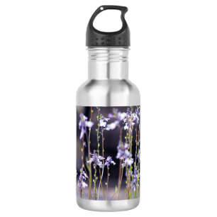 Garrafa Flores Silvestres de Lavanda