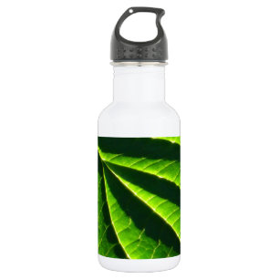 Garrafa Folha verde legal