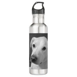 Garrafa Foto branca e negra de um lindo cão com alma