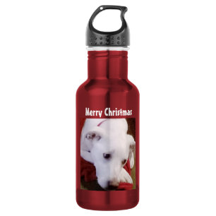 Garrafa Foto de Cachorro Fofinho de Natal Vermelho