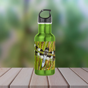 Garrafa Foto de Dragonfly de Whitetail Comum