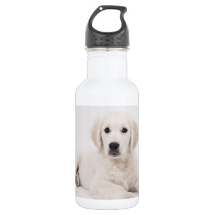Garrafa Foto de Golden Retriever