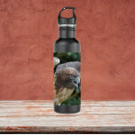 Garrafa Foto do Raptor Hawk de cauda vermelha<br><div class="desc">Acaba a sede enquanto se desloca com uma garrafa de água de aço inoxidável,  que mostra a foto de um Hawk vermelho de aparência feroz com bico afiado. Selecione o tamanho e a cor do frasco.</div>