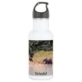 Garrafa Fotografia de alta definição de Madre Grizzly e 2 