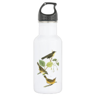 Garrafa Frequentes Iellowthroat por Audubon