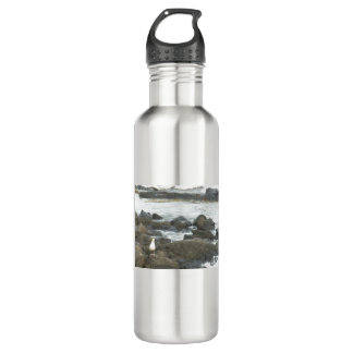 Garrafa Gaivota em rochas