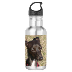 Garrafa galgo italiano.png