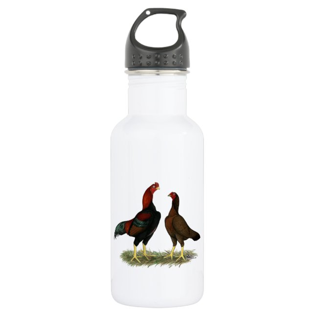 Garrafa Galinha Aseel Black Red (Frente)