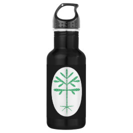 Garrafa Garrafa-d'água a preto com uma vaivém verde