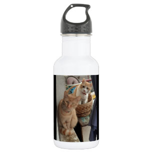 Garrafa garrafas de água para gatos gengibres