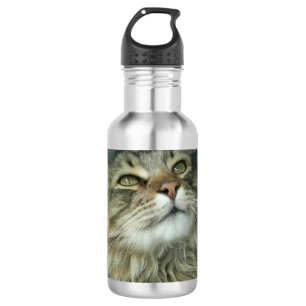 Garrafa Gatinho Maine Coon