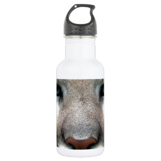 Garrafa Gato Selvagem Puma Cougar Leão Olhos Animais Face 