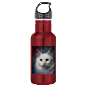 Garrafa Gato Turco Angora Branco Vermelho Azul