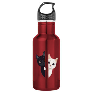 Garrafa gatos