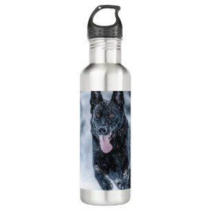 Garrafa German shepherd preto no Cobrir da escova de neve
