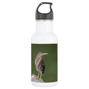 Garrafa Green Heron em um diário