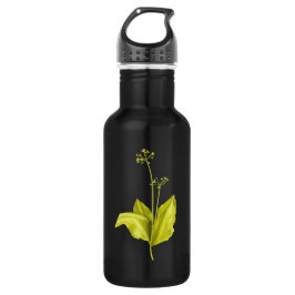 Garrafa Grelha de Alho Selvagem de Planta Verde