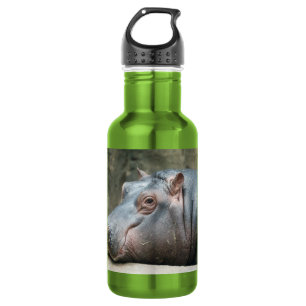 Garrafa Hippopotamus