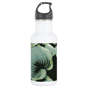 Garrafa Hosta verde da folha