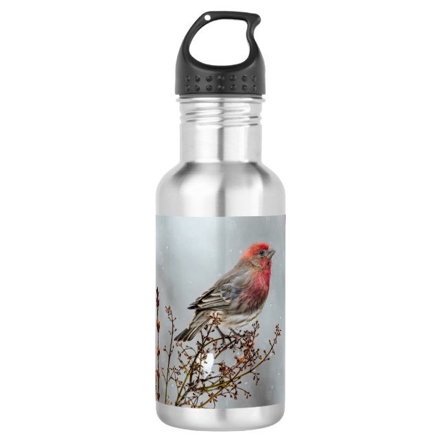 Garrafa House Finch in Snow - Foto original (Frente)