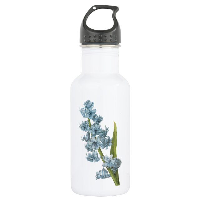 Garrafa hyacinth(Hyacinthus sp.) por Redouté (Frente)