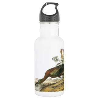 Garrafa Ibis brilhante de Audubon