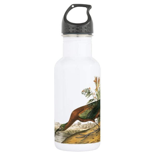Garrafa Ibis brilhante de Audubon (Frente)