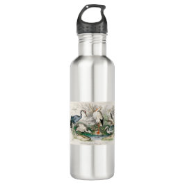 Garrafa image-from-rawpixel-id-411915.jpg