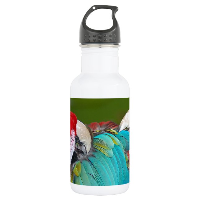 Garrafa Impressão de papagaio-de-arara-azul (Frente)