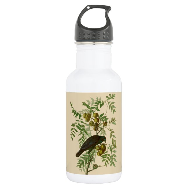 Garrafa Impressão de pássaro rouxinol-púrpura de Audubon V (Frente)