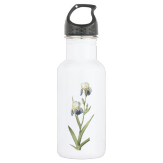 Garrafa Iris (Iris sambucina) perfumada por Redouté