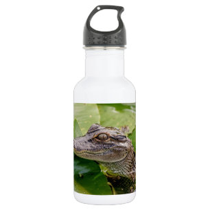 Garrafa Jovem Alligator