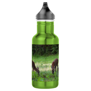 Garrafa Jovens corças do Whitetail em um campo gramíneo