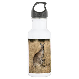 Garrafa Kangaroo com Bebê Joey em Pouch